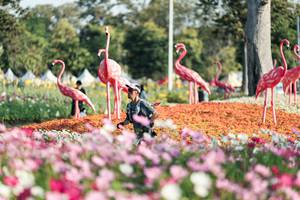 BIB: 
                            <button type="button" onclick="openModal(27344321)" class="btn btn-primary btn-sm float-right btn-popup" data-toggle="modal" data-target=".modal-high-quality">
                        <i class="fas fa-shopping-cart"></i> Add to Cart
                    </button>
                                            <button type="button" onclick="isThisMe(27344321, true)" class="btn btn-success btn-sm float-right btn-popup btn-isme hidden" data-toggle="tooltip" data-placement="bottom" title="นี่คือรูปของคุณใช่ไหม คลิกที่นี่เพื่อเอาเข้าอัลบั้ม">
                        <i class="fas fa-plus"></i> Add to album
                    </button>
                    <button type="button" onclick="isThisMe(27344321, false)" class="btn btn-warning btn-sm float-right btn-popup btn-isnotme hidden">
                        <i class="fas fa-ban"></i> Remove from album
                    </button>